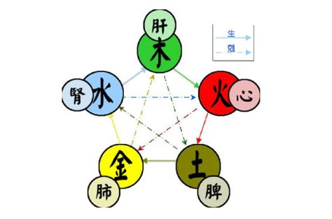 五行金火|五行（对万事万物的取象比类）